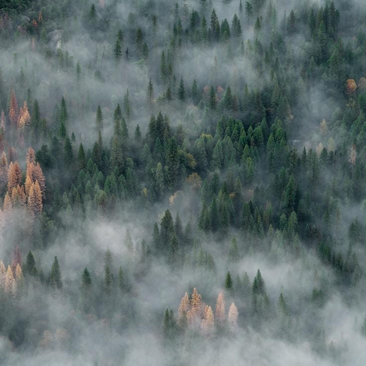 Low-impact nature route